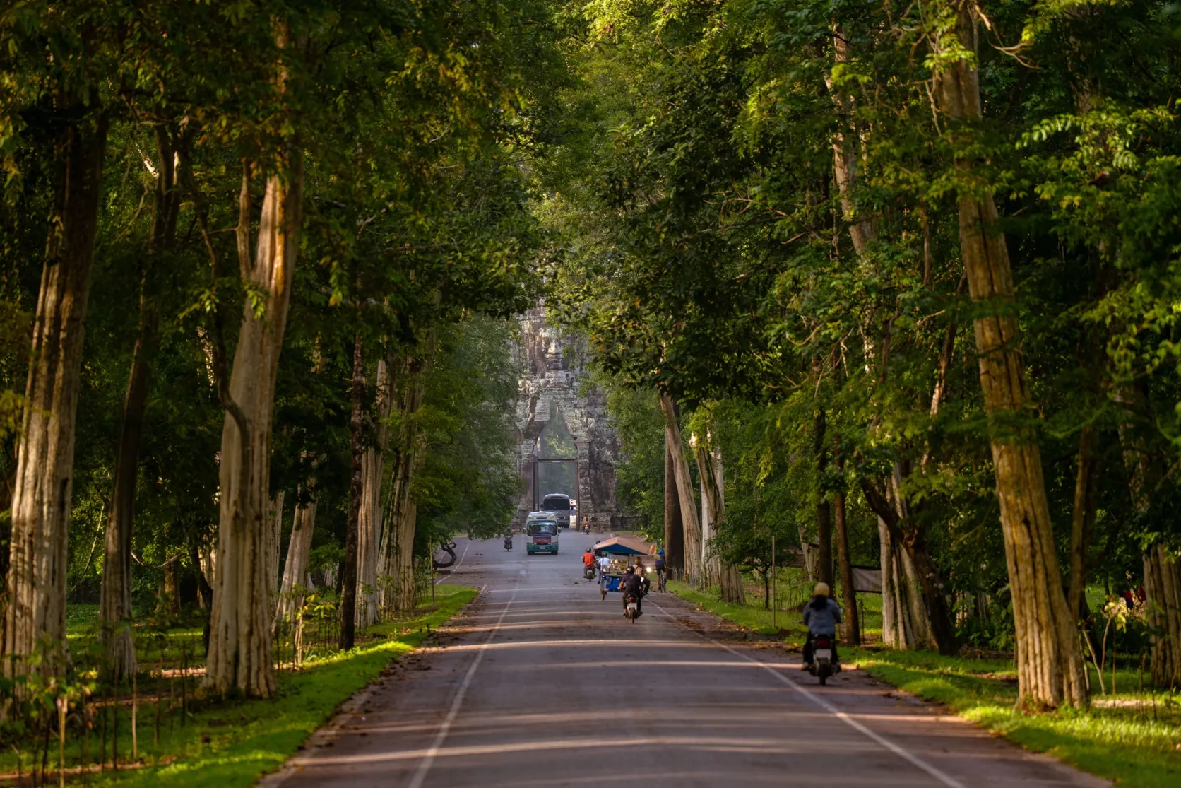Motorbikes and cars on a tree-lined road near Angkor.