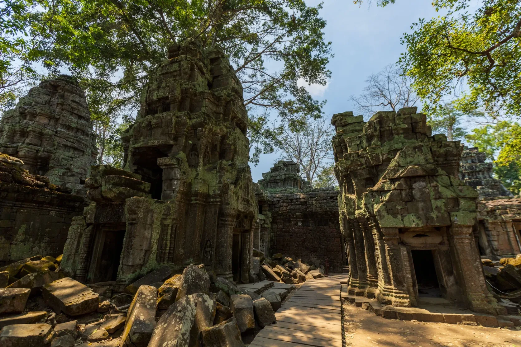 Tree roots and stone ruins at Ta Prohm in Angkor.