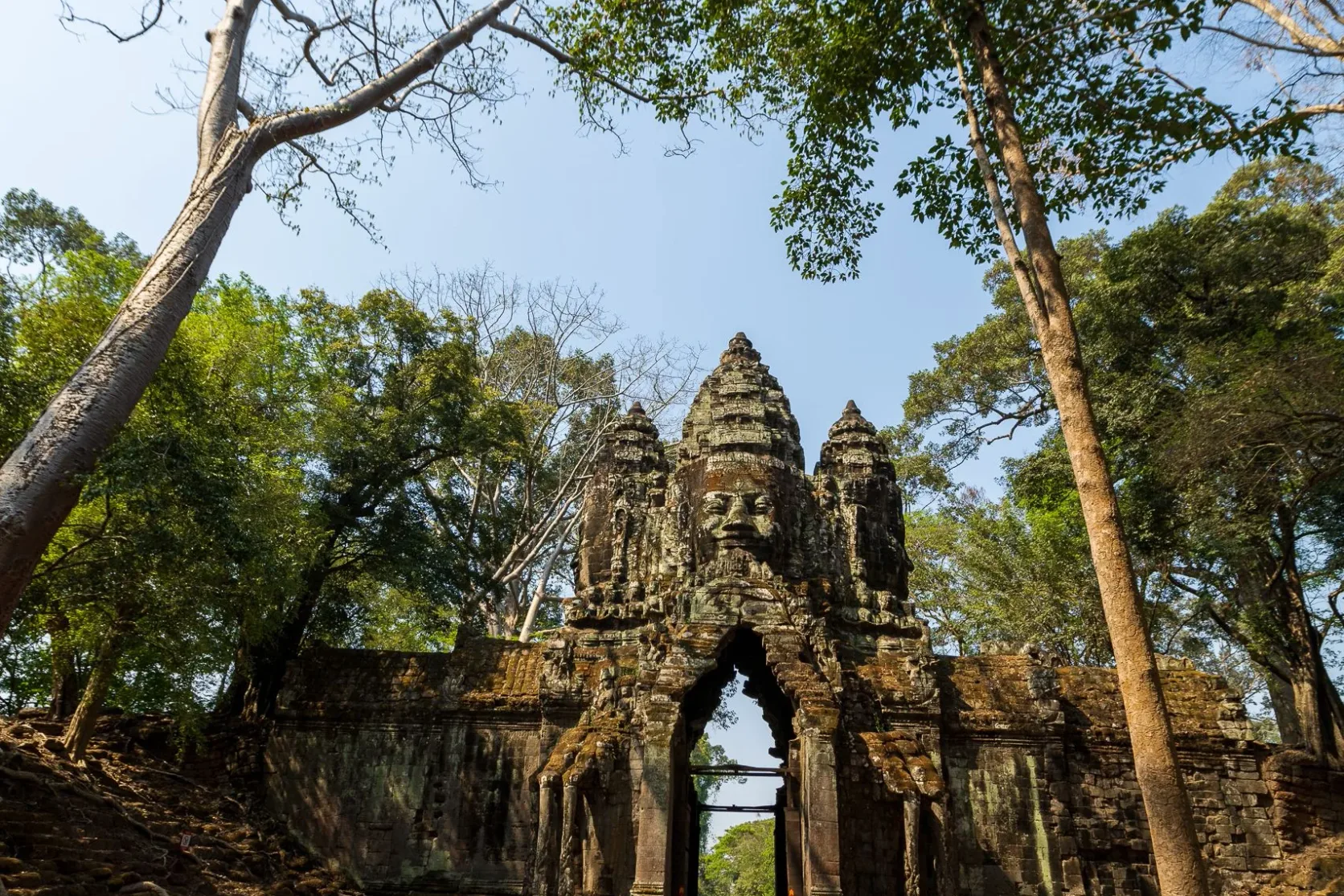 A carved stone gateway among tall trees at Angkor.
