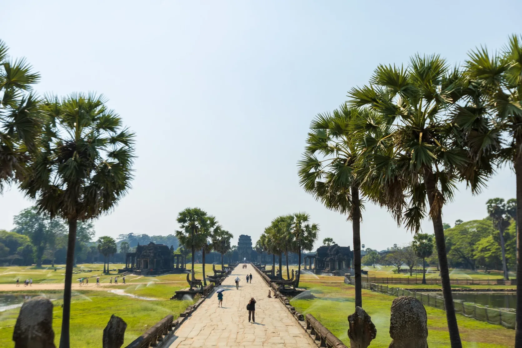 A palm-lined walkway leading toward Angkor Wat.