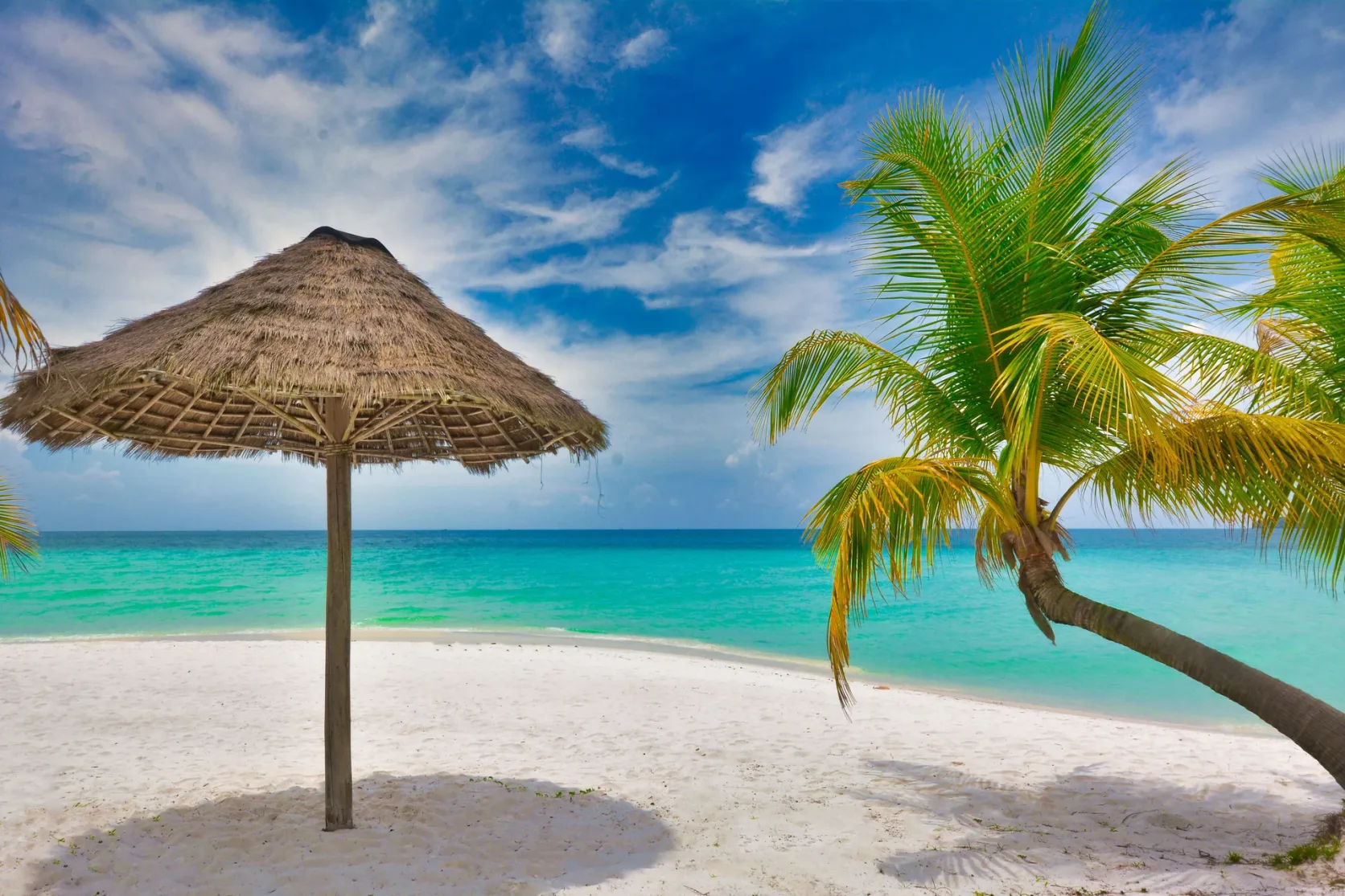 A palm tree and thatched parasol beside Koh Rong's sandy beach.