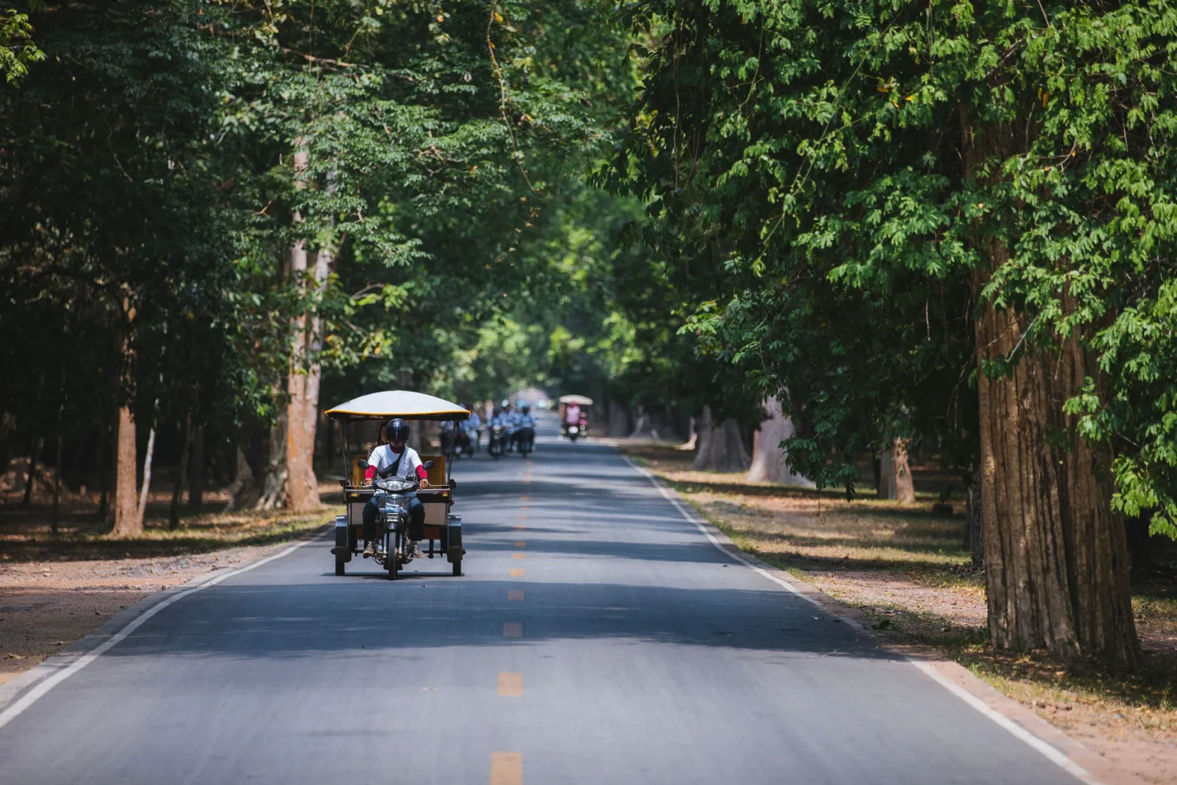 A tuk-tuk on a tree-lined road in Siem Reap.