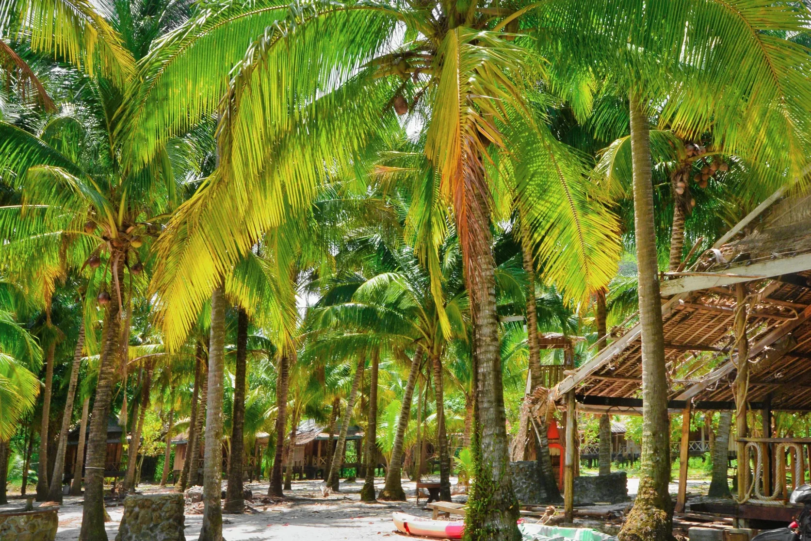 Palm trees shading a beach area in Sihanoukville.